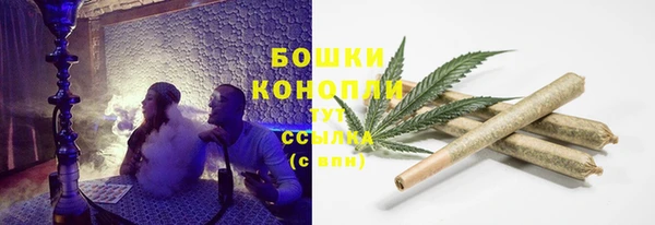 прущая мука Инта