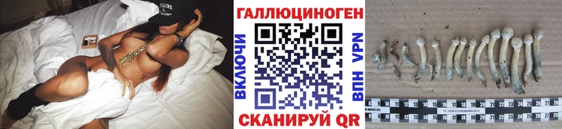 Купить Георгиевск Галлюциногенные грибы MAGIC MUSHROOMS