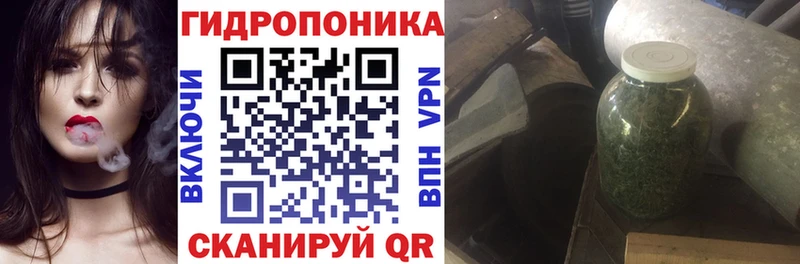 Купить закладки  Георгиевск  Конопля индика 